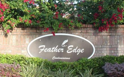 Feather Edge