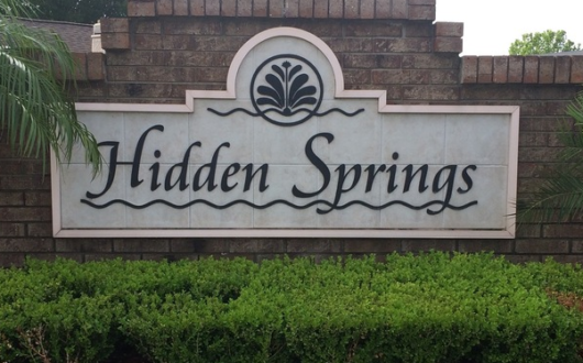 Hidden Springs