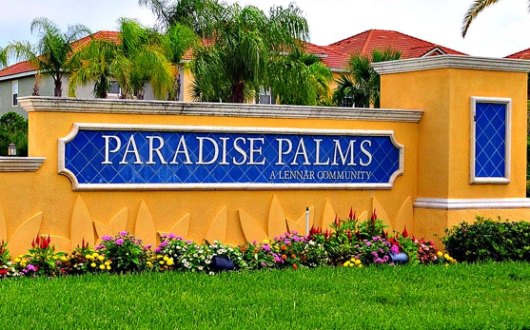 Paradise Palms