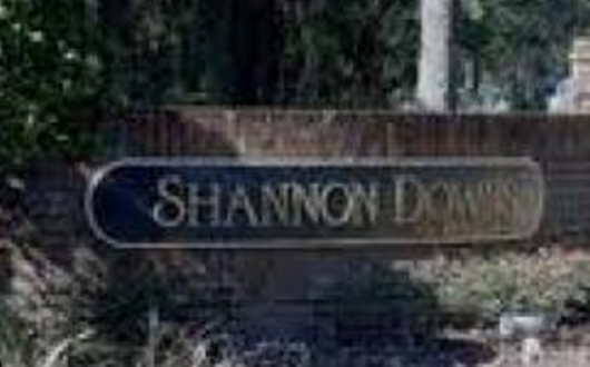 Shannon Downs