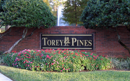 Torey Pines