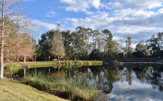 Celebration Florida