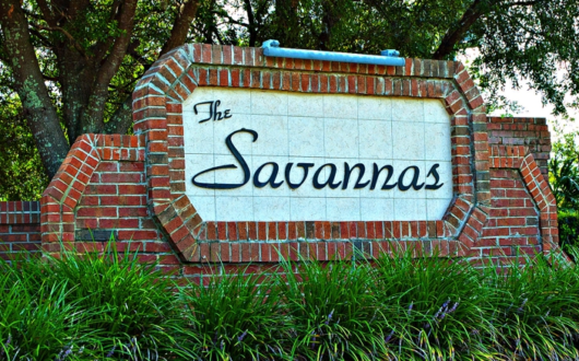 Savannas